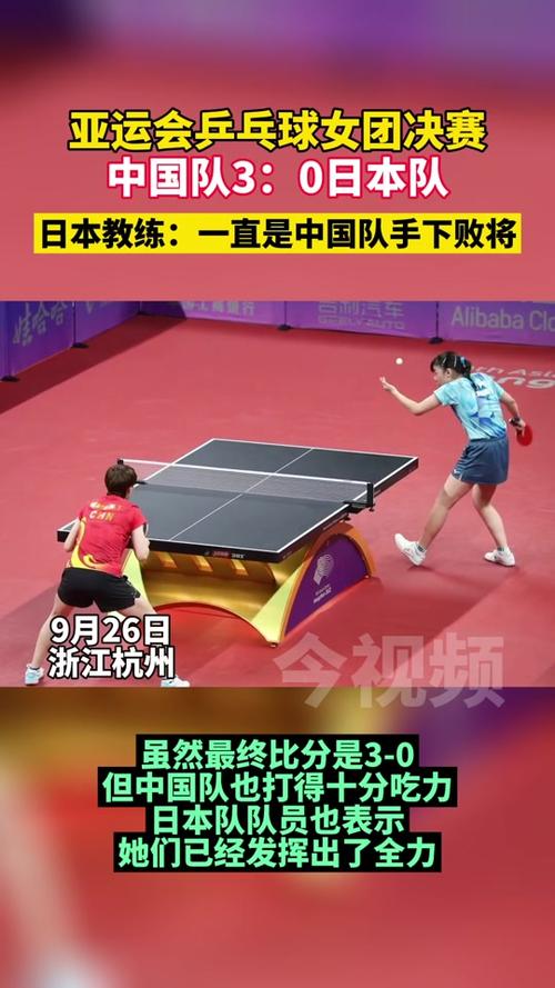 乒乓球女团决赛直播在线观看