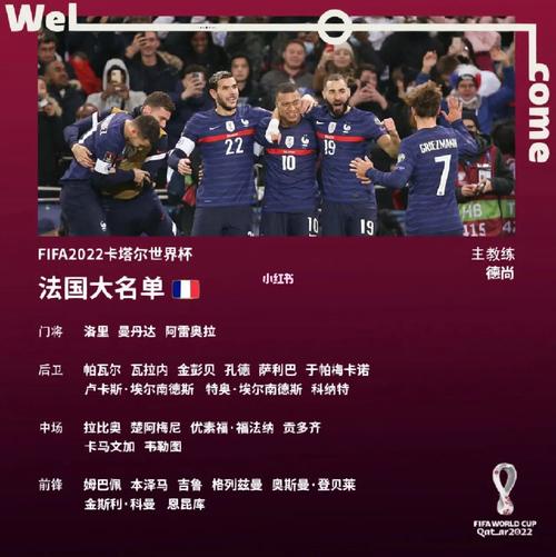 法国世界杯历届成绩