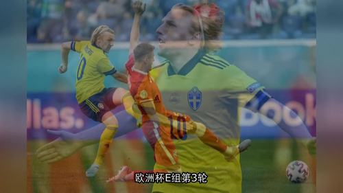 波兰vs瑞典完整版视频