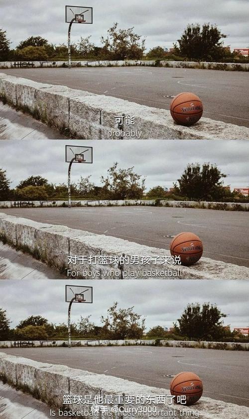 除了篮球就是你
