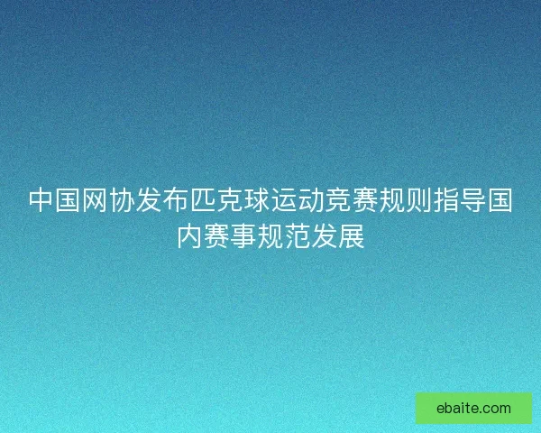 中国网协发布匹克球运动竞赛规则指导国内赛事规范发展