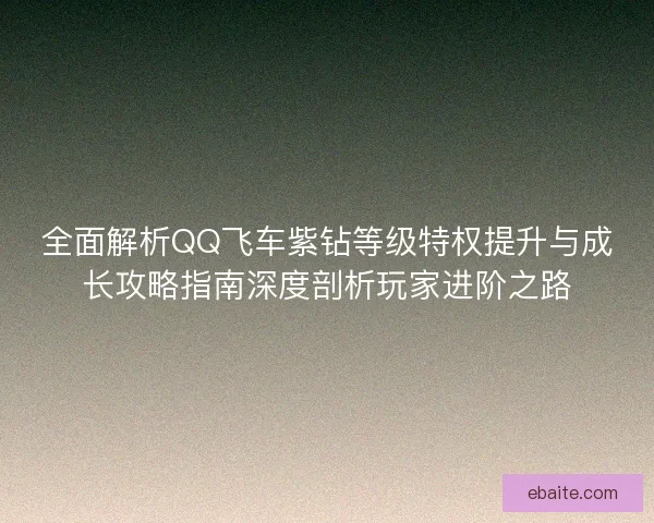 全面解析QQ飞车紫钻等级特权提升与成长攻略指南深度剖析玩家进阶之路